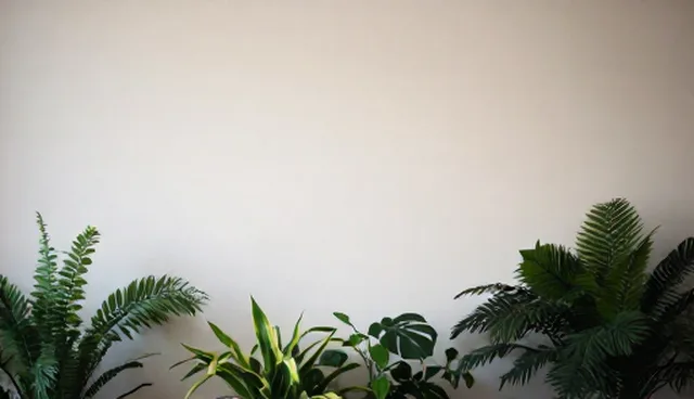 慢性病管理方案适用条件对比与取舍分析